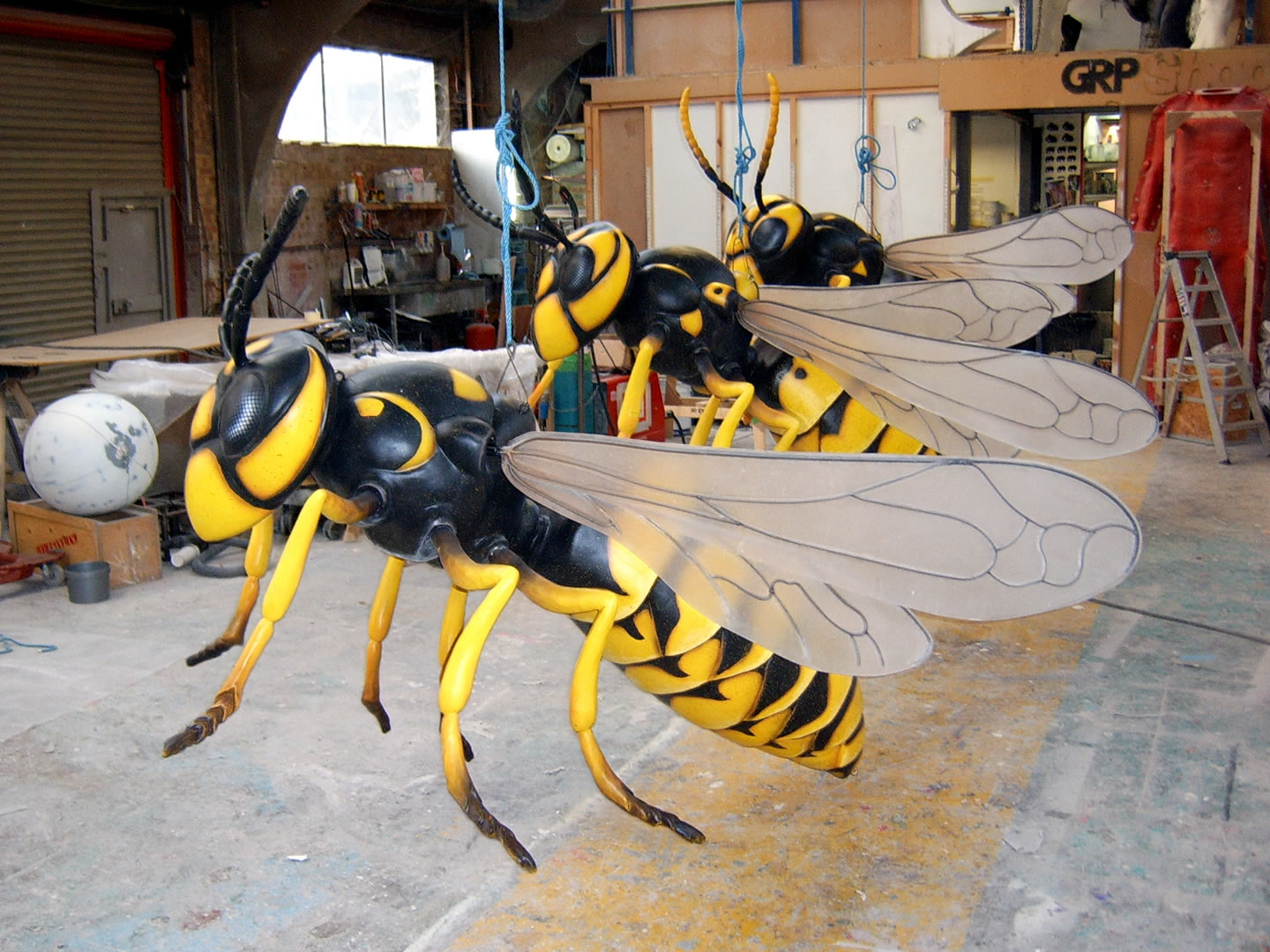 Wasps