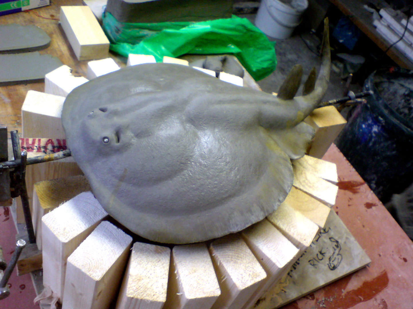 Torpedo Fish (Clay)